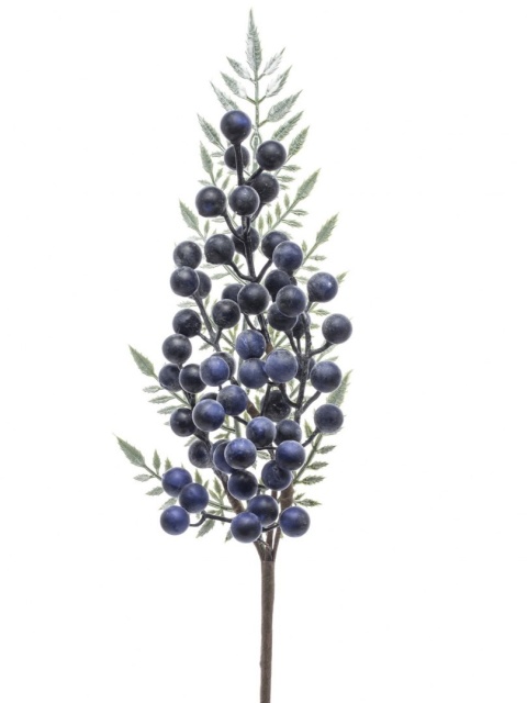 Gałązka z granatowymi owocami (132442)