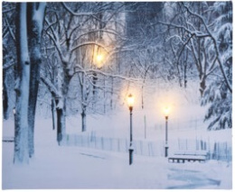 Obraz canvas 50*40cm Park zimą (ANB000210) na baterie 2*AA