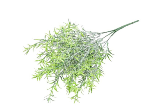 Set of 5 frosted branches, length 35cm (CV32870)