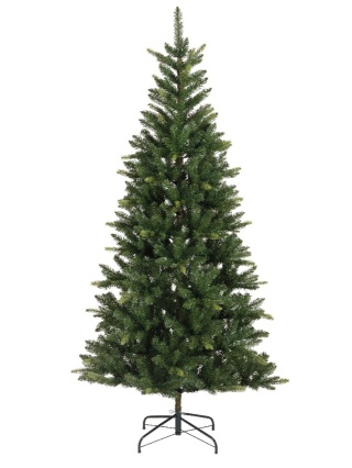 Choinka jodła Straja 210cm, wąska fi 109cm (684229)