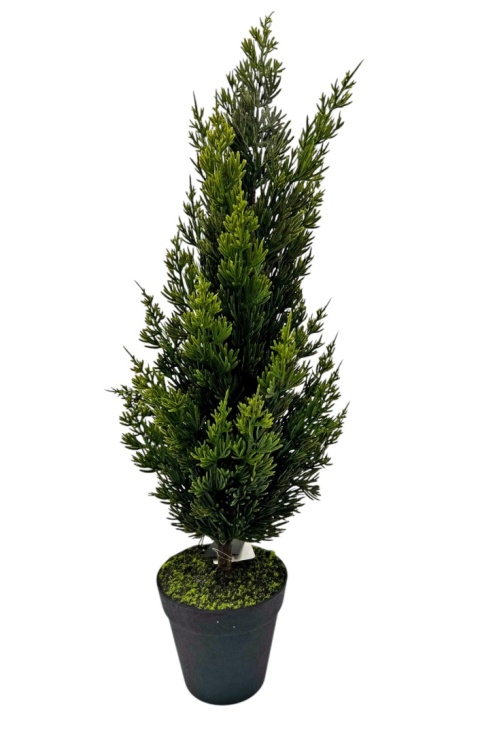 PE tree 60cm in pot (RF0613)