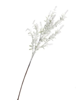 Gałązka 70cm bukszpan szroniony (GL03738)