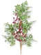 Gałązka 85cm mix gałązek bordowe owoce (CV37232)