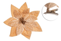 Poinsecja welur beż fi 16cm na klipsie (PON00674)