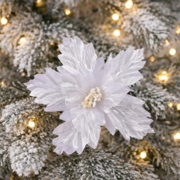 White and silver poinsettia (CV37121-MIX)