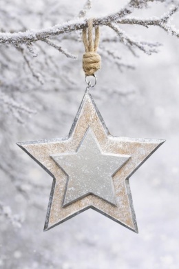 Wooden star pendant, brushed silver, 16cm (CH1-07649)-20%