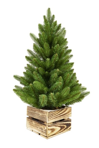 Bergen PE Box Christmas Tree, green, 80 cm (DC2130), diameter 51 cm