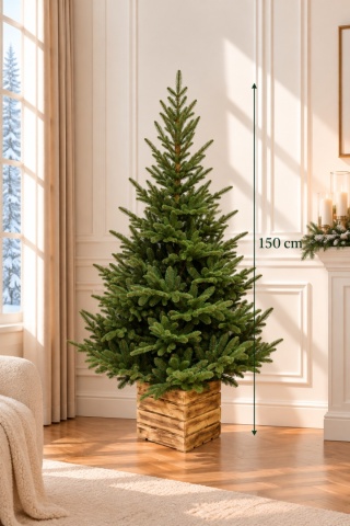 Mountain Fir PE BOX Christmas tree 150cm (DC0270) diameter 100cm