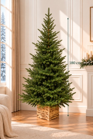 Choinka Mountain Fir PE BOX 180cm (DC0271) fi 118cm