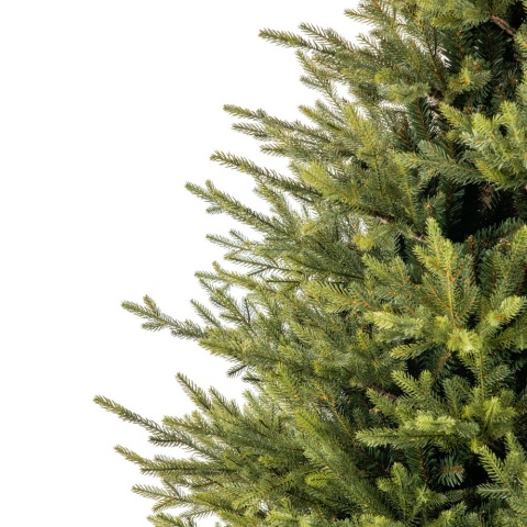 Choinka Świerk PE Premium 230cm (E)